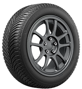 Bridgestone Blizzak DM-V2